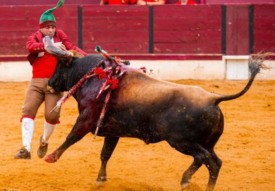 Screenshot_2025-04-14-16-13-15-592-edit_com.androi