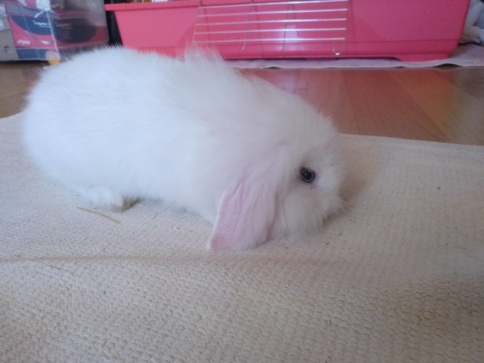 IMG_20191002_130231_786.jpg IMG_20191002_130231_786.jpg