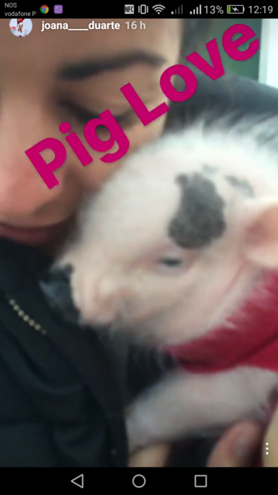 Screenshot_2017-01-23-12-19-35.png Screenshot_2017-01-23-12-19-35.png