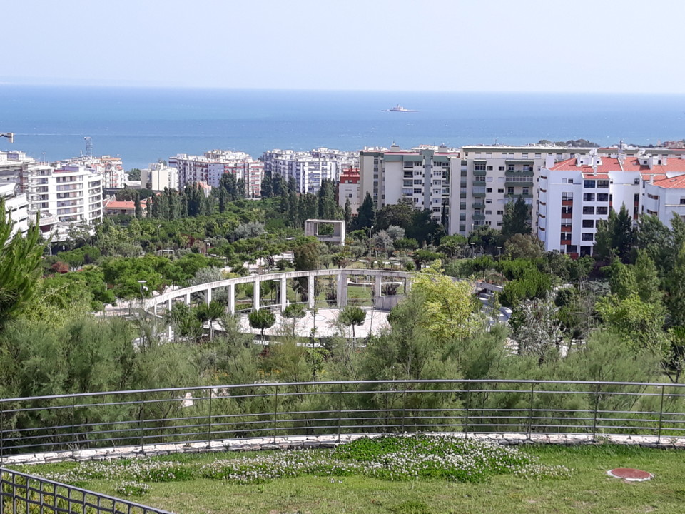 20180624_163038.jpg 20180624_163038.jpg