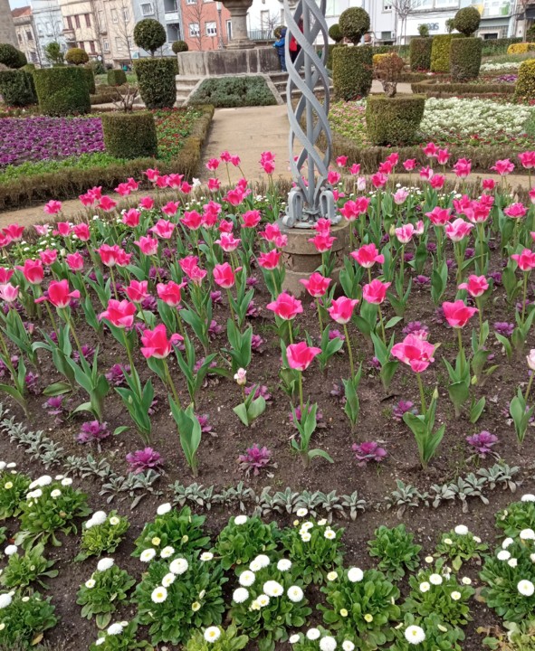 IMG_20210223_120728.jpg IMG_20210223_120728.jpg