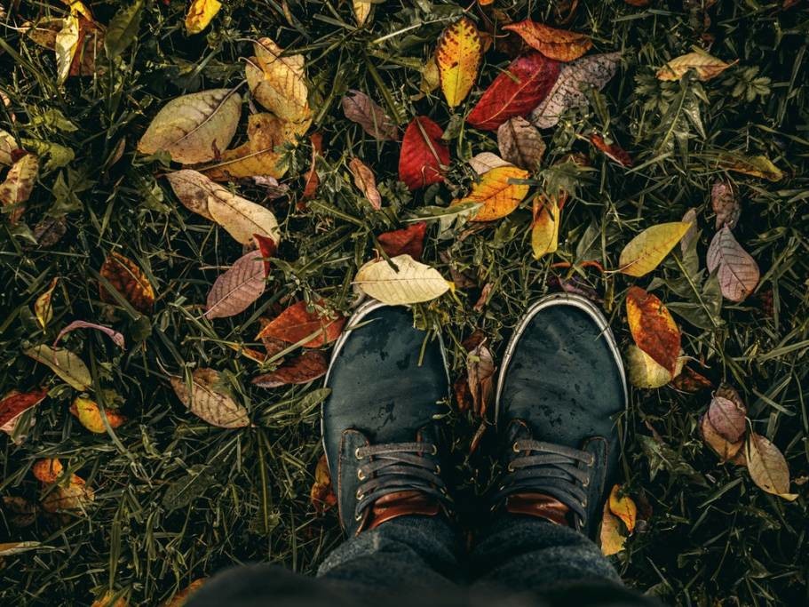 outono2019-naturz.jpg outono2019-naturz.jpg