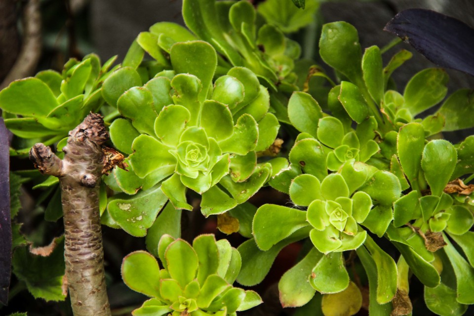 rua da silva 8.jpg rua da silva 8.jpg