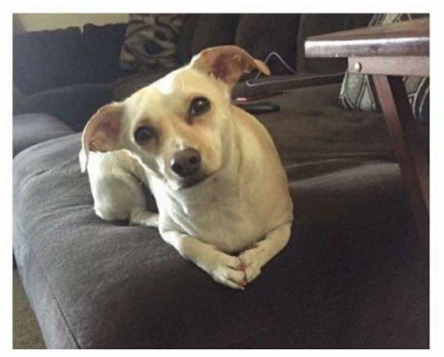 Quando estão a tentar engrupir-me e eu farta de s