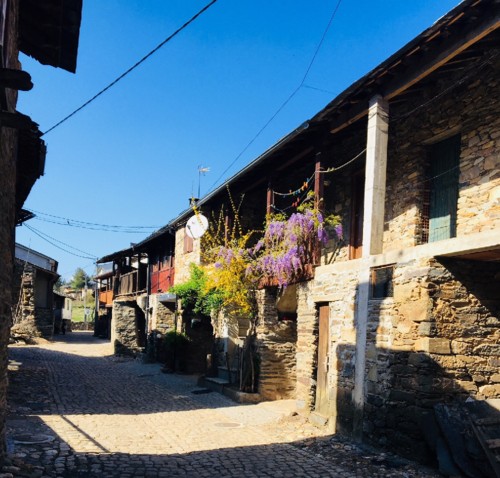 IMG_7804.jpg IMG_7804.jpg