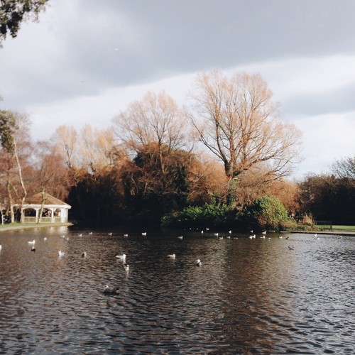 st-stephens-green st-stephens-green