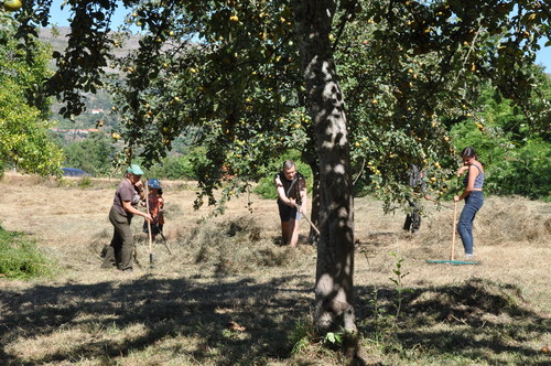 DSC_0026.JPG DSC_0026.JPG