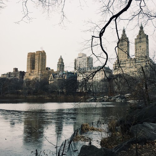 IMG_8931.JPG IMG_8931.JPG