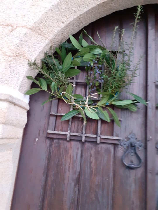 Coroa natalícia. Foto Original. 2021.11.30.jpg