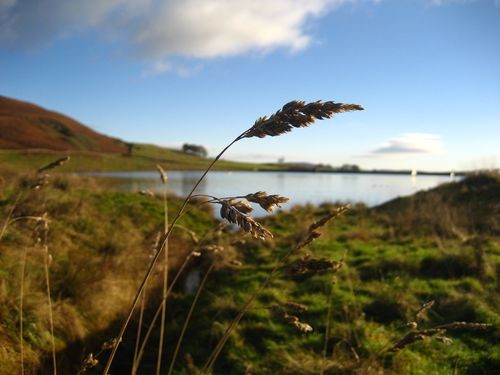 O quanto ganhariam se na sua vida as perguntas fos