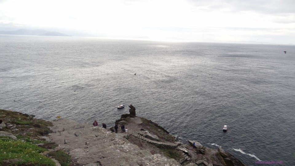 DSC06984.JPG DSC06984.JPG