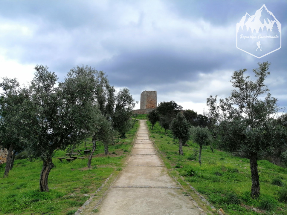 Photo_1584303174099.jpg Photo_1584303174099.jpg