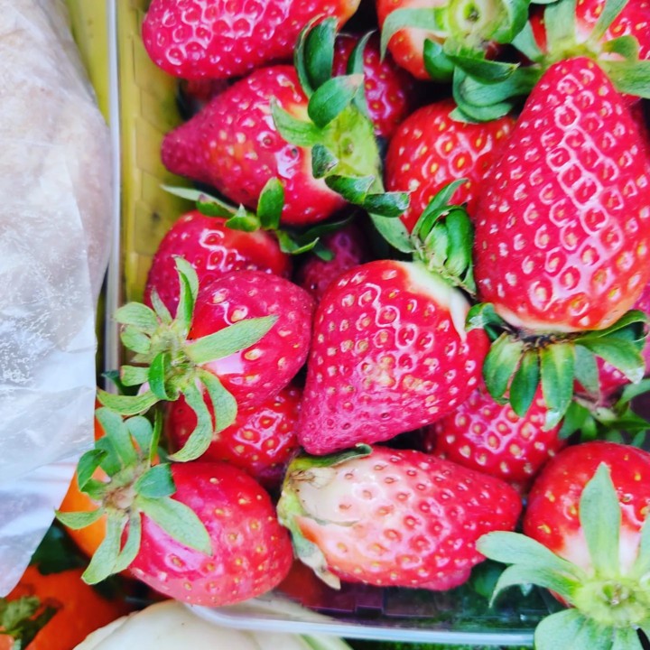 274747775_2248387538634328_4273418865669668130_n.j