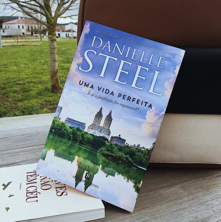 uma vida perfeita capa.jpg