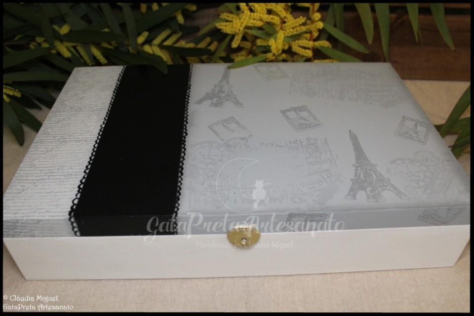 Caixa para fotos Voyage1.JPG