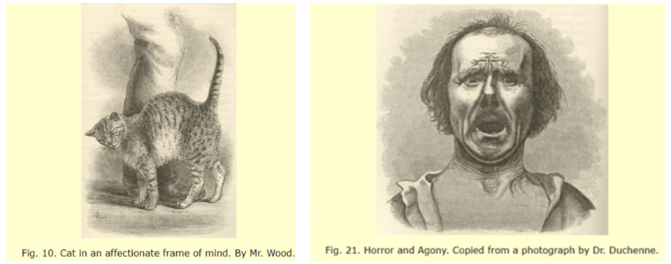 Captura de ecrã 2021-04-29, às 10.39.25.png