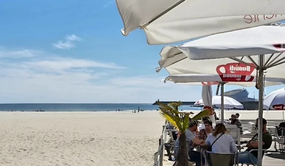 Captura de ecrã 2025-08-16 163227.png