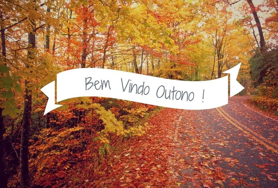 71142181_10156754169193565_4251851068503228416_n.j