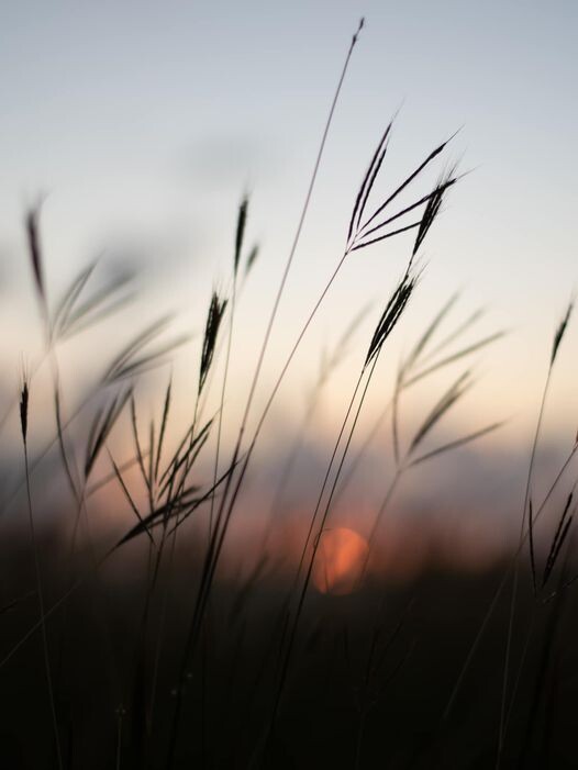 Uma questão de idade....jpg