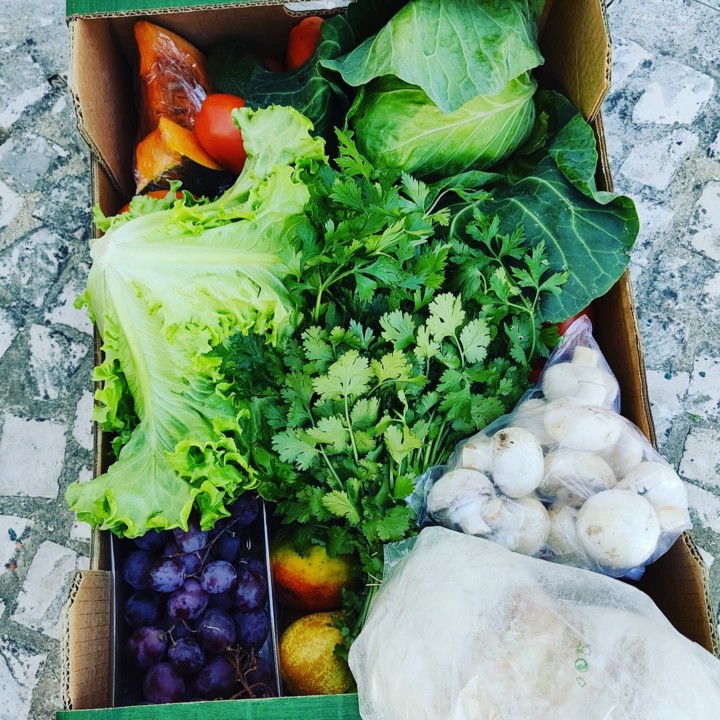 246058365_2149312031875213_6438414432590076313_n.j