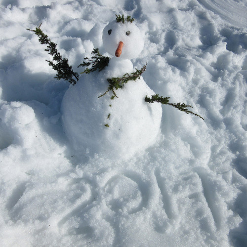 IMG_0582.JPG IMG_0582.JPG