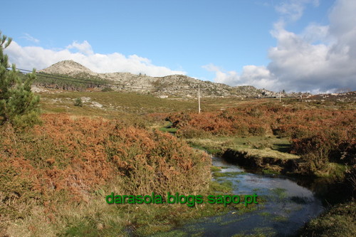 Biodiversidade_Freita_10.JPG Biodiversidade_Freita_10.JPG