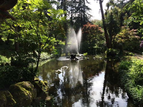 19696_10202690884633425_3855930854513392986_n.jpg 19696_10202690884633425_3855930854513392986_n.jpg