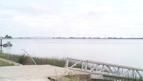 IMG_20150501_114329.jpg IMG_20150501_114329.jpg