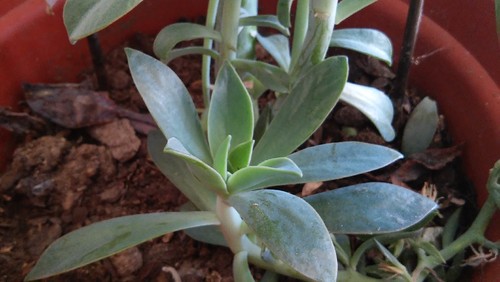 20160719_123226.jpg 20160719_123226.jpg