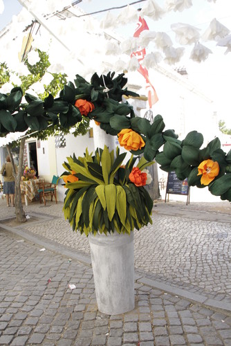 IMG_1954 Campo Maior