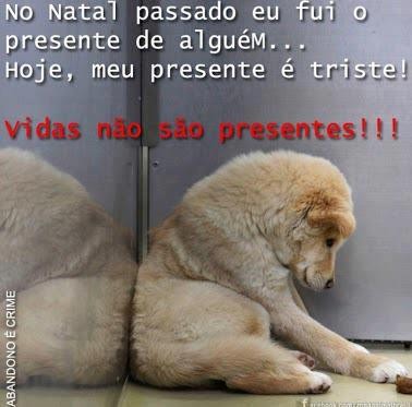 Mensagem de Natal e Ano Novo – AFEESMIG