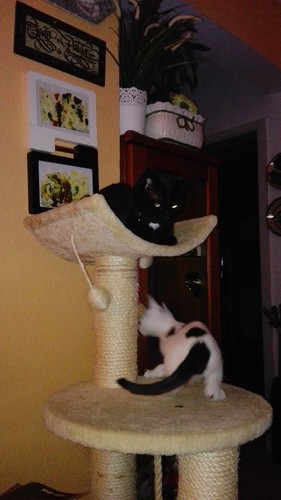 IMG_20160917_000308.jpg IMG_20160917_000308.jpg