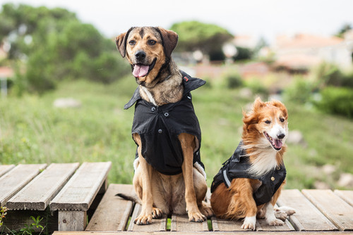 Bereta e Kid_entre 16.90eur e 26.90eur.jpg