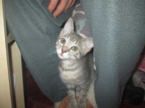 IMG_2525.JPG IMG_2525.JPG