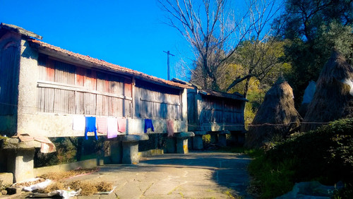 AdobePhotoshopExpress_ec3fe7203de74c31864b9d4b0df9