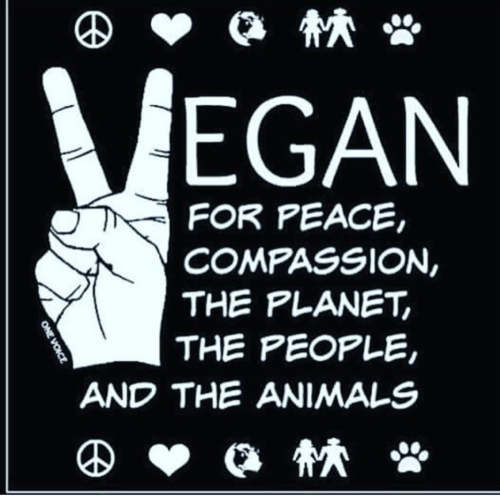 23113523_2048229152072452_71402109_n.png 23113523_2048229152072452_71402109_n.png