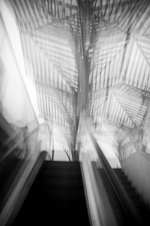 parque_das_nacoes 6.jpg