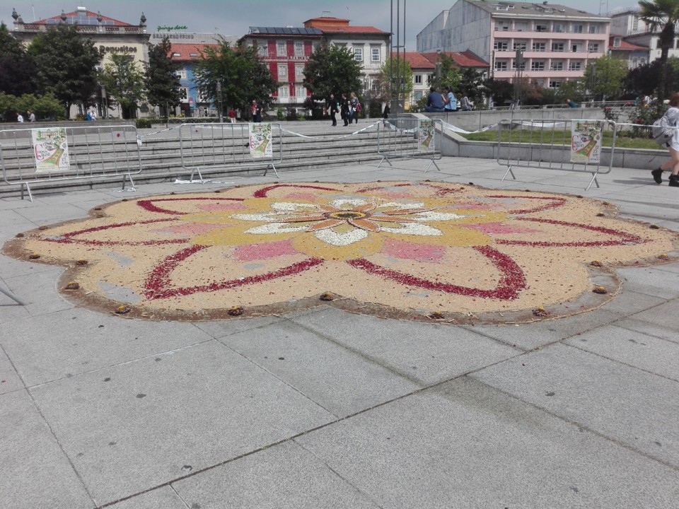 IMG_20190422_123651.jpg IMG_20190422_123651.jpg