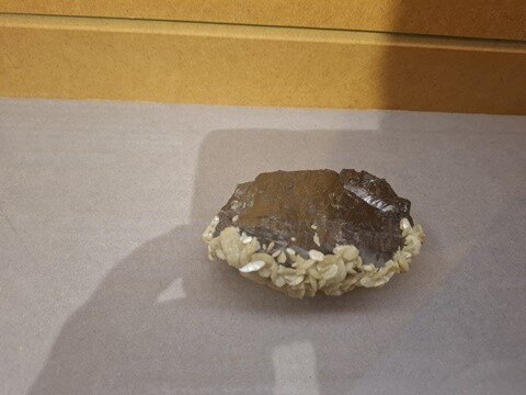 26a_Arouca (102).jpg