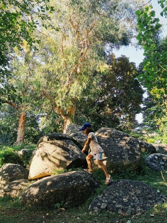 2019-08-31 09.34.49d2.jpg