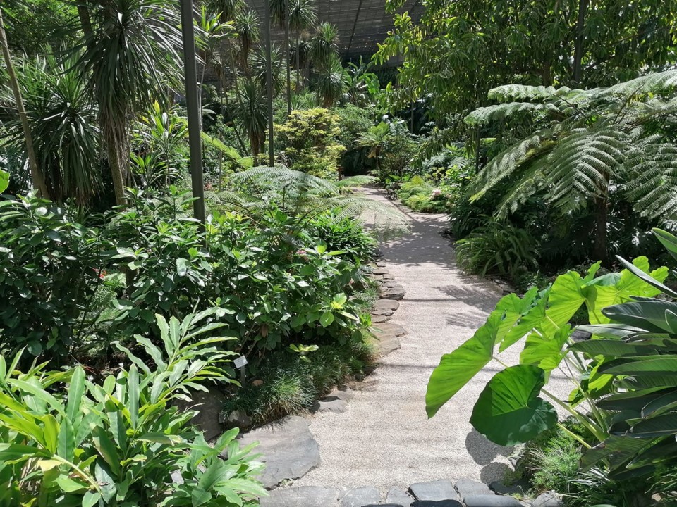 110301350_10157622954448565_8601013602465630553_o. 110301350_10157622954448565_8601013602465630553_o.