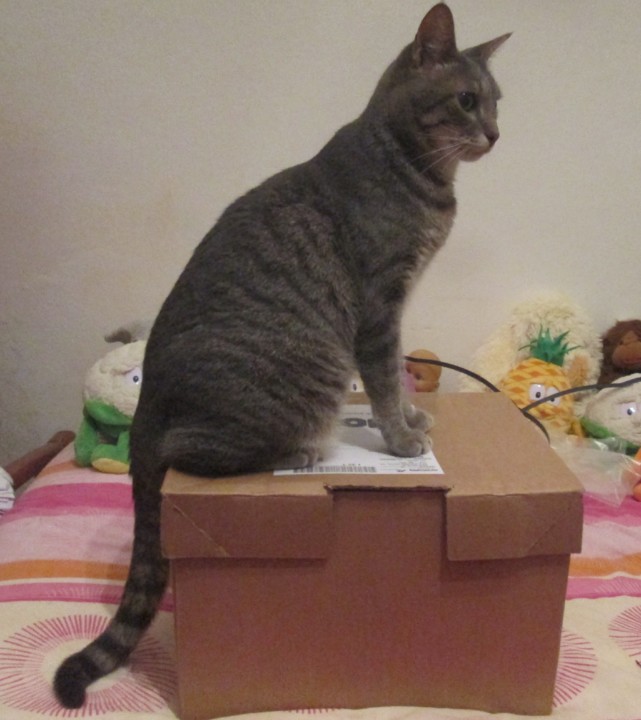 IMG_77801.JPG IMG_77801.JPG