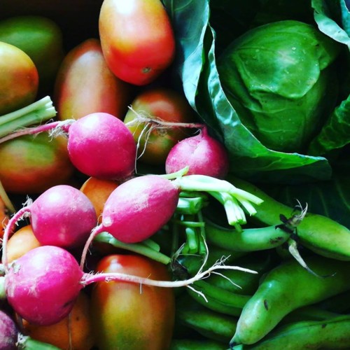 33308714_1100640780075682_7986957970036490240_n.jp 33308714_1100640780075682_7986957970036490240_n.jp