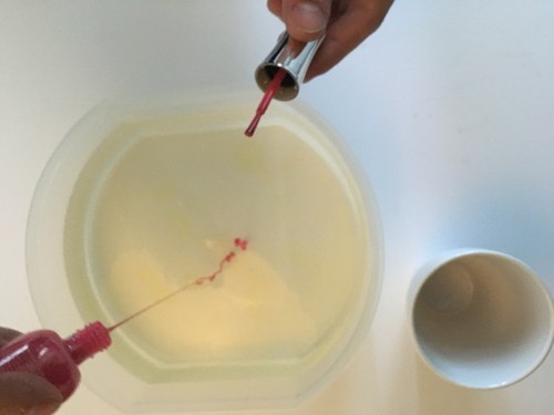 IMG_8813.jpeg IMG_8813.jpeg