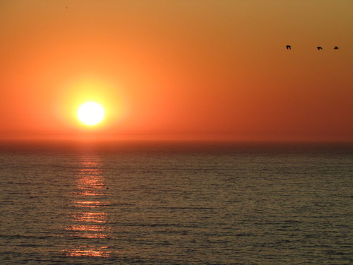 IMG_1269.JPG IMG_1269.JPG