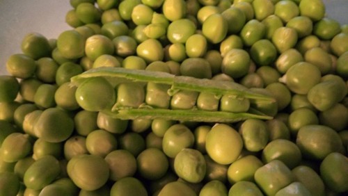 32697803_1811778892216633_8195057515008884736_n.jp