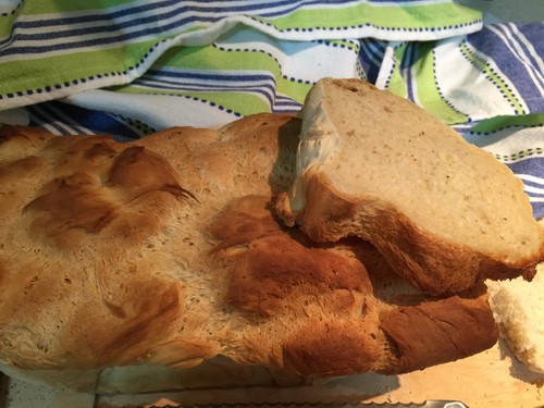 image.jpeg image.jpeg