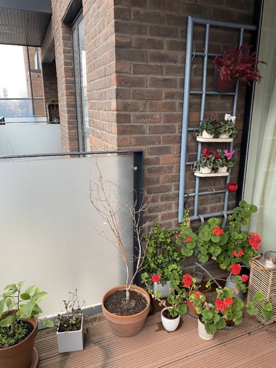 balcony.jpg balcony.jpg