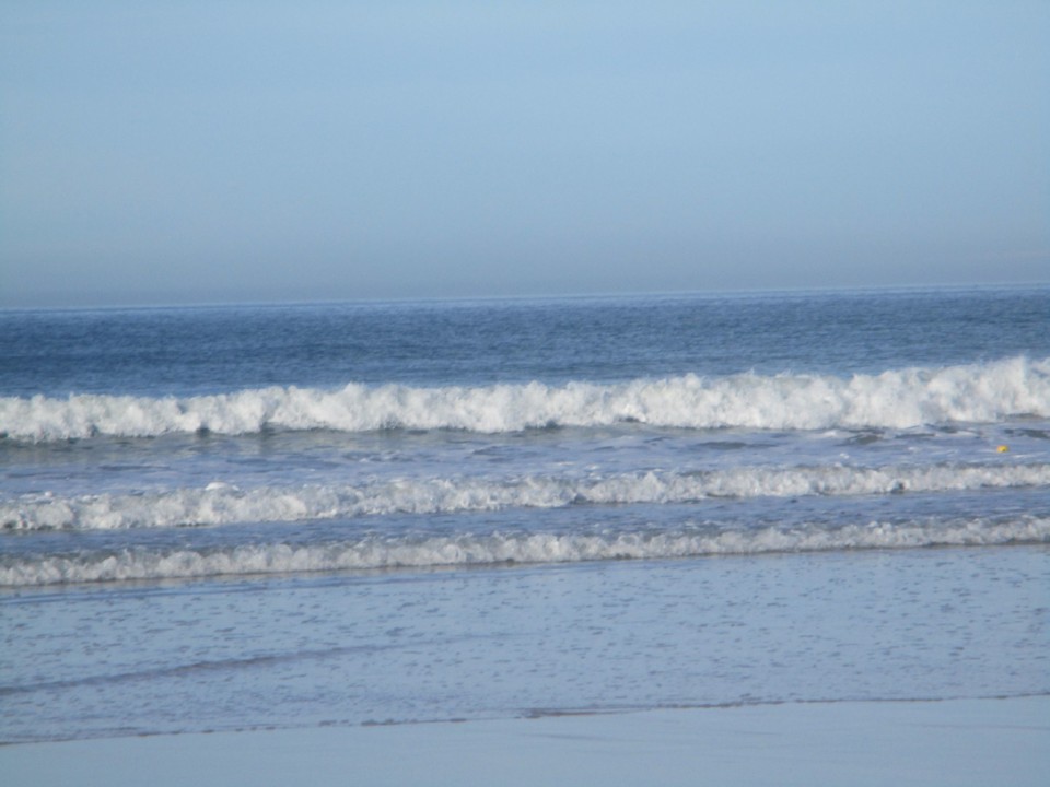 123104037_706265673599746_9136548916113540066_n.jp