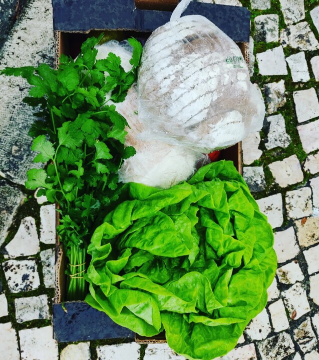 324731864_509366141287377_2986962325067782072_n.jp